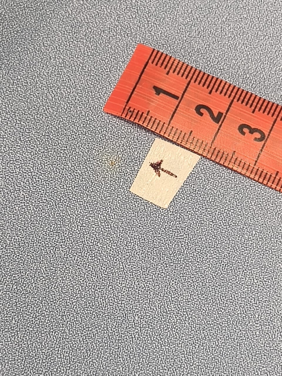 Perfecto imperfecto Top Cuello Redondo Celeste Talla S #273