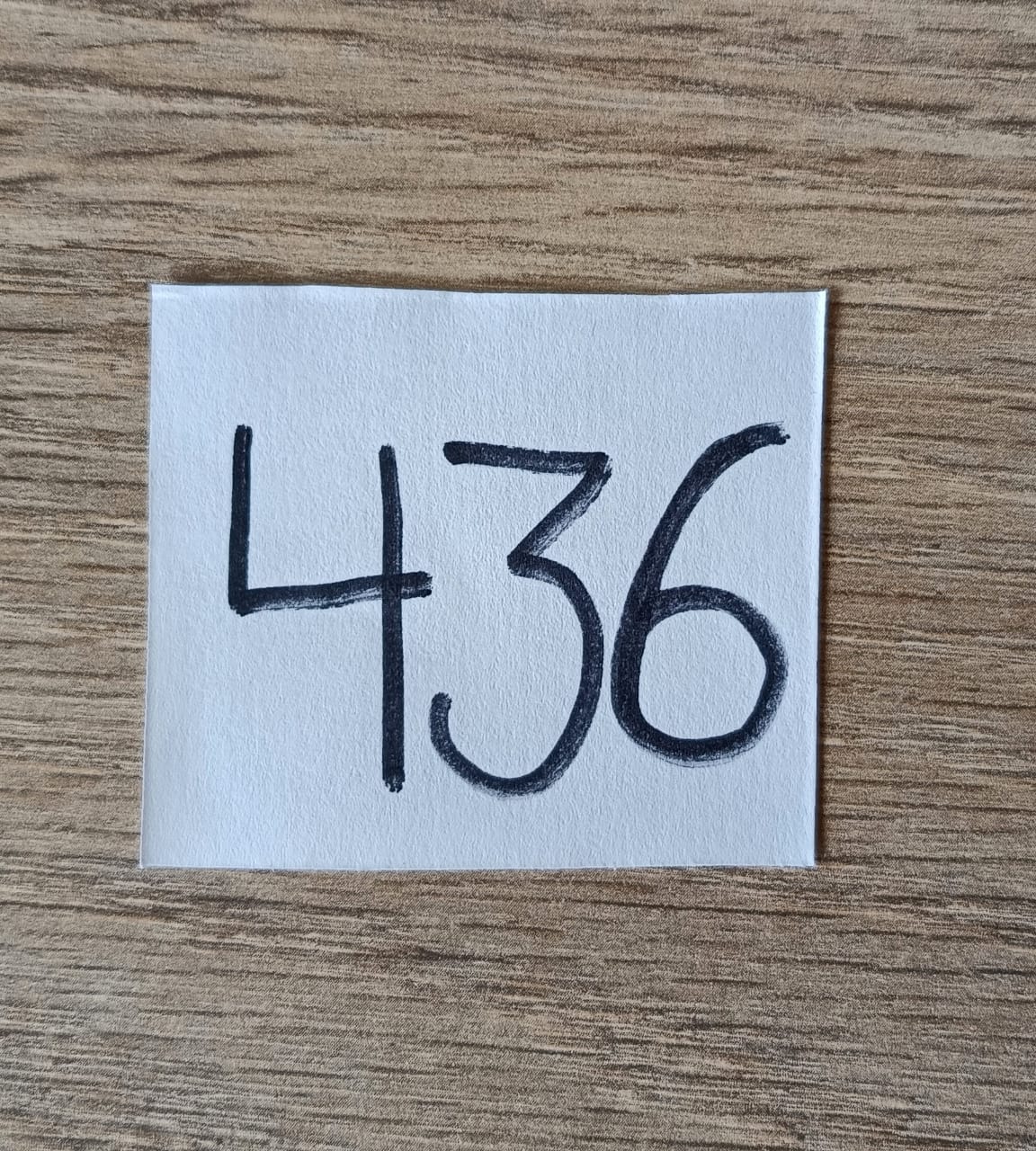 Perfecto Imperfecto Leopard Rock Jacket Talla L #436